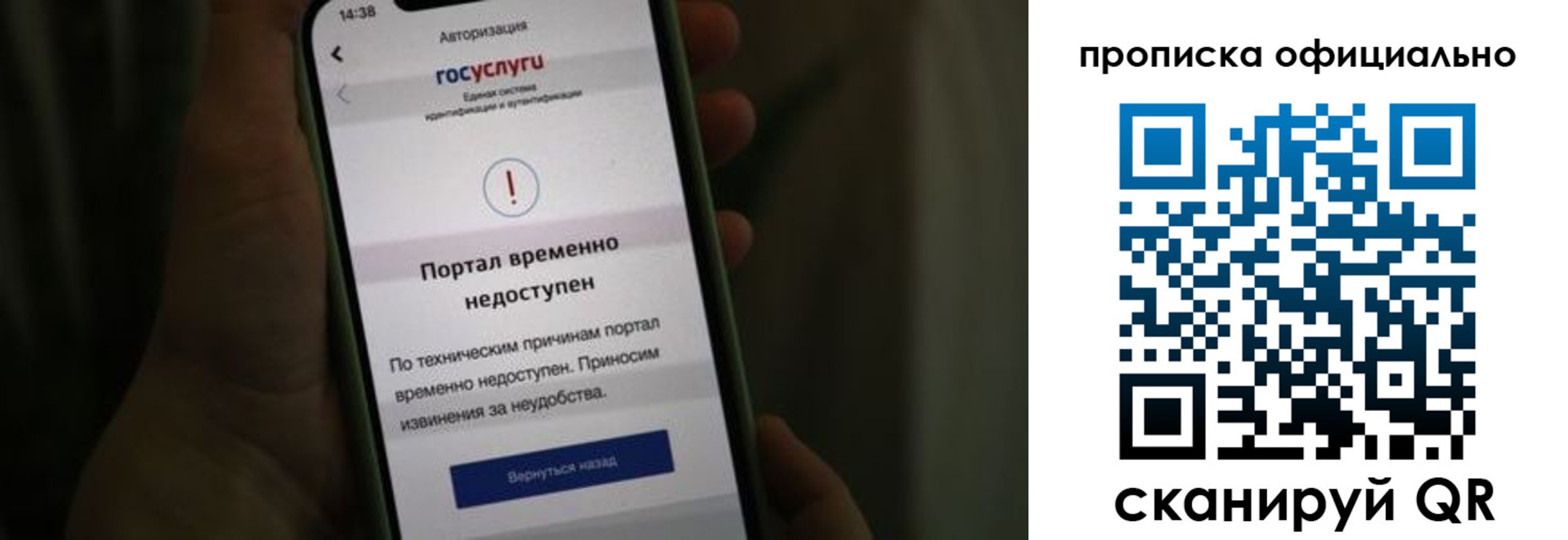 найти адрес прописки в Боре